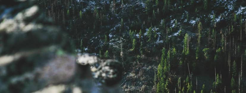 Unauth title CiywcLlt